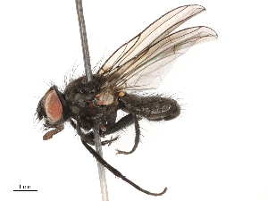  ( - CBG-B02502-B04)  @11 [ ] CreativeCommons - Attribution Share - Alike (2025) CBG Photography Group Centre for Biodiversity Genomics