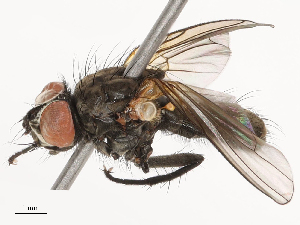  ( - CBG-B02502-B08)  @11 [ ] CreativeCommons - Attribution Share - Alike (2025) CBG Photography Group Centre for Biodiversity Genomics