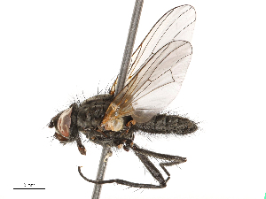  ( - CBG-B02502-C06)  @11 [ ] CreativeCommons - Attribution Share - Alike (2025) CBG Photography Group Centre for Biodiversity Genomics