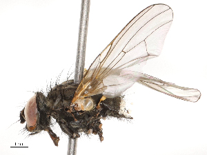  ( - CBG-B02502-C07)  @11 [ ] CreativeCommons - Attribution Share - Alike (2025) CBG Photography Group Centre for Biodiversity Genomics