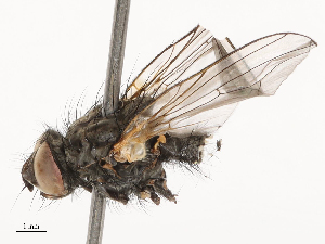  ( - CBG-B02502-C08)  @11 [ ] CreativeCommons - Attribution Share - Alike (2025) CBG Photography Group Centre for Biodiversity Genomics