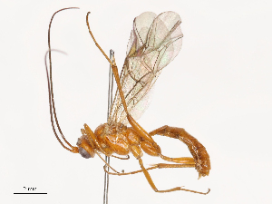  ( - CBG-B03944-E02)  @11 [ ] CreativeCommons - Attribution Share - Alike (2025) CBG Photography Group Centre for Biodiversity Genomics