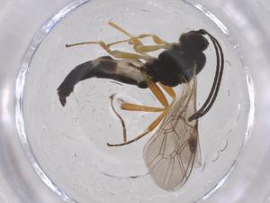  ( - CBG-B04052-F06)  @11 [ ] CreativeCommons - Attribution Share - Alike (2025) Centre for Biodiversity Genomics Centre for Biodiversity Genomics