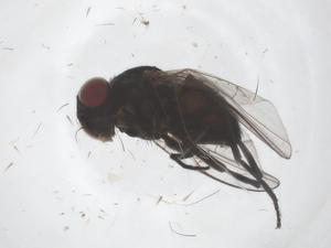  ( - CBG-B04053-H08)  @11 [ ] CreativeCommons - Attribution Share - Alike (2025) Centre for Biodiversity Genomics Centre for Biodiversity Genomics