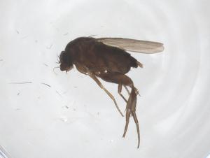  ( - CBG-B04053-H10)  @11 [ ] CreativeCommons - Attribution Share - Alike (2025) Centre for Biodiversity Genomics Centre for Biodiversity Genomics