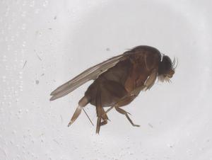  ( - CBG-B04054-F07)  @11 [ ] CreativeCommons - Attribution Share - Alike (2025) Centre for Biodiversity Genomics Centre for Biodiversity Genomics