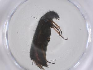  ( - CBG-B04055-D04)  @11 [ ] CreativeCommons - Attribution Share - Alike (2025) Centre for Biodiversity Genomics Centre for Biodiversity Genomics