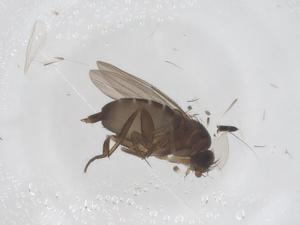  ( - CBG-B04056-C08)  @11 [ ] CreativeCommons - Attribution Share - Alike (2025) Centre for Biodiversity Genomics Centre for Biodiversity Genomics