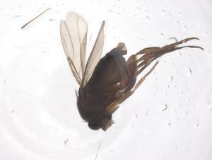  ( - CBG-B04057-E01)  @11 [ ] CreativeCommons - Attribution Share - Alike (2025) Centre for Biodiversity Genomics Centre for Biodiversity Genomics