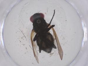  ( - CBG-B04058-D10)  @11 [ ] CreativeCommons - Attribution Share - Alike (2025) Centre for Biodiversity Genomics Centre for Biodiversity Genomics