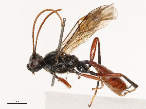  ( - CBG-B04144-E04)  @11 [ ] CreativeCommons - Attribution Share - Alike (2025) CBG Photography Group Centre for Biodiversity Genomics