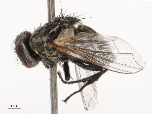  ( - CBG-B04144-G01)  @11 [ ] CreativeCommons - Attribution Share - Alike (2025) CBG Photography Group Centre for Biodiversity Genomics