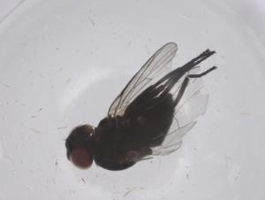  ( - CBG-B04147-E07)  @11 [ ] CreativeCommons - Attribution Share - Alike (2025) Centre for Biodiversity Genomics Centre for Biodiversity Genomics