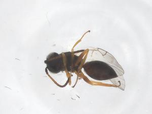  ( - CBG-B04159-H10)  @11 [ ] CreativeCommons - Attribution Share - Alike (2025) Centre for Biodiversity Genomics Centre for Biodiversity Genomics