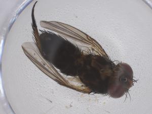  ( - CBG-B04160-E05)  @11 [ ] CreativeCommons - Attribution Share - Alike (2025) Centre for Biodiversity Genomics Centre for Biodiversity Genomics