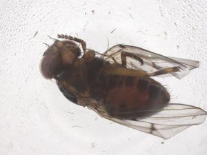  ( - CBG-B04165-G01)  @11 [ ] CreativeCommons - Attribution Share - Alike (2025) Centre for Biodiversity Genomics Centre for Biodiversity Genomics