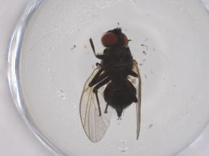  ( - CBG-B05019-D05)  @11 [ ] CreativeCommons - Attribution Share - Alike (2025) Centre for Biodiversity Genomics Centre for Biodiversity Genomics