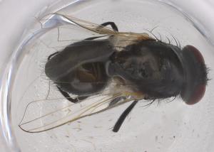  ( - CBG-B05023-E07)  @11 [ ] CreativeCommons - Attribution Share - Alike (2025) Centre for Biodiversity Genomics Centre for Biodiversity Genomics