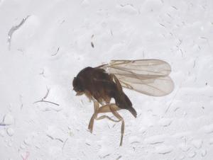  ( - CBG-B20288-C12)  @11 [ ] CreativeCommons - Attribution Share - Alike (2025) Centre for Biodiversity Genomics Centre for Biodiversity Genomics