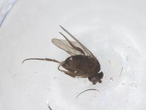  ( - CBG-B20289-D10)  @11 [ ] CreativeCommons - Attribution Share - Alike (2025) Centre for Biodiversity Genomics Centre for Biodiversity Genomics