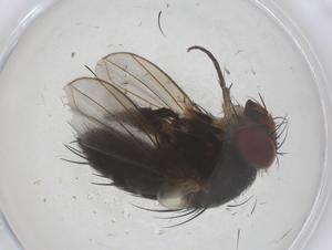  ( - CBG-B20943-A02)  @11 [ ] CreativeCommons - Attribution Share - Alike (2025) Centre for Biodiversity Genomics Centre for Biodiversity Genomics