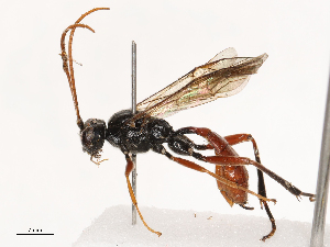  ( - CBG-B21227-B05)  @11 [ ] CreativeCommons - Attribution Share - Alike (2025) CBG Photography Group Centre for Biodiversity Genomics