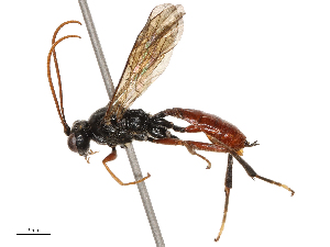  ( - CBG-B21234-H07)  @11 [ ] CreativeCommons - Attribution Share - Alike (2025) CBG Photography Group Centre for Biodiversity Genomics