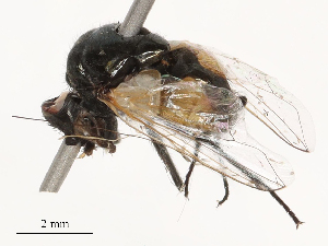  ( - CBG-B21236-E08)  @11 [ ] CreativeCommons - Attribution Share - Alike (2025) CBG Photography Group Centre for Biodiversity Genomics