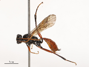  ( - CBG-B21241-C01)  @11 [ ] CreativeCommons - Attribution Share - Alike (2025) CBG Photography Group Centre for Biodiversity Genomics