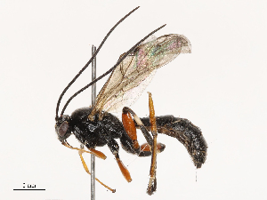  ( - CBG-B21241-C05)  @11 [ ] CreativeCommons - Attribution Share - Alike (2025) CBG Photography Group Centre for Biodiversity Genomics