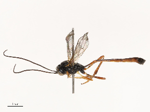  ( - CBG-B21241-C07)  @11 [ ] CreativeCommons - Attribution Share - Alike (2025) CBG Photography Group Centre for Biodiversity Genomics