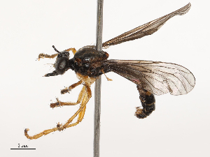  ( - CBG-B21241-D05)  @11 [ ] CreativeCommons - Attribution Share - Alike (2025) CBG Photography Group Centre for Biodiversity Genomics