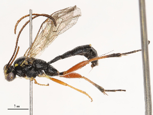  ( - CBG-B21241-G04)  @11 [ ] CreativeCommons - Attribution Share - Alike (2025) CBG Photography Group Centre for Biodiversity Genomics