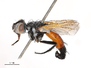  ( - CBG-B21242-G02)  @11 [ ] CreativeCommons - Attribution Share - Alike (2025) CBG Photography Group Centre for Biodiversity Genomics