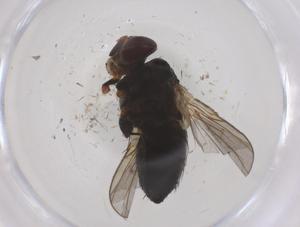  ( - CBG-B21245-B08)  @11 [ ] CreativeCommons - Attribution Share - Alike (2025) Centre for Biodiversity Genomics Centre for Biodiversity Genomics