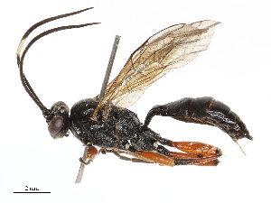  ( - CBG-B21312-B05)  @11 [ ] CreativeCommons - Attribution Share - Alike (2025) CBG Photography Group Centre for Biodiversity Genomics