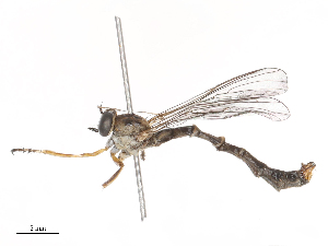  ( - CBG-B21312-C01)  @11 [ ] CreativeCommons - Attribution Share - Alike (2025) CBG Photography Group Centre for Biodiversity Genomics