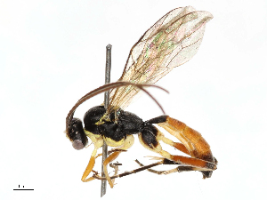  ( - CBG-B21312-E12)  @11 [ ] CreativeCommons - Attribution Share - Alike (2025) CBG Photography Group Centre for Biodiversity Genomics