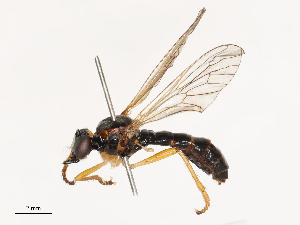  ( - CBG-B21316-D02)  @11 [ ] CreativeCommons - Attribution Share - Alike (2025) CBG Photography Group Centre for Biodiversity Genomics