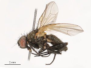  ( - CBG-B21316-E02)  @11 [ ] CreativeCommons - Attribution Share - Alike (2025) CBG Photography Group Centre for Biodiversity Genomics