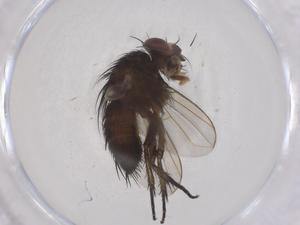  ( - CBG-B21328-D03)  @11 [ ] CreativeCommons - Attribution Share - Alike (2025) Centre for Biodiversity Genomics Centre for Biodiversity Genomics