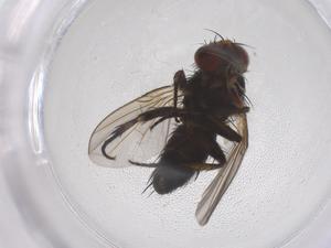  ( - CBG-B21328-D12)  @11 [ ] CreativeCommons - Attribution Share - Alike (2025) Centre for Biodiversity Genomics Centre for Biodiversity Genomics