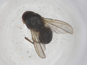  ( - CBG-B22171-A02)  @11 [ ] CreativeCommons - Attribution Share - Alike (2025) Centre for Biodiversity Genomics Centre for Biodiversity Genomics