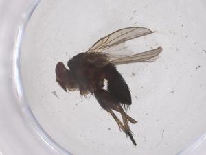  ( - CBG-B23266-C10)  @11 [ ] CreativeCommons - Attribution Share - Alike (2025) Centre for Biodiversity Genomics Centre for Biodiversity Genomics