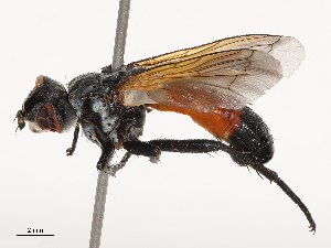  ( - CBG-B23310-C10)  @11 [ ] CreativeCommons - Attribution Share - Alike (2025) CBG Photography Group Centre for Biodiversity Genomics