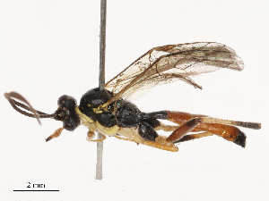  ( - CBG-B23315-F01)  @11 [ ] CreativeCommons - Attribution Share - Alike (2025) CBG Photography Group Centre for Biodiversity Genomics