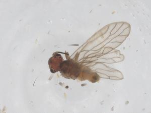  ( - CBG-B23425-C07)  @11 [ ] CreativeCommons - Attribution Share - Alike (2025) Centre for Biodiversity Genomics Centre for Biodiversity Genomics