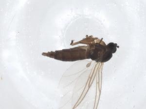  ( - CBG-A19913-E04)  @11 [ ] CreativeCommons - Attribution Share - Alike (2023) Centre for Biodiversity Genomics Centre for Biodiversity Genomics