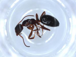  ( - BIOUG51790-D04)  @11 [ ] CreativeCommons - Attribution (2020) Centre for Biodiversity Genomics Centre for Biodiversity Genomics