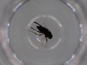  ( - BIOUG51874-F02)  @12 [ ] CreativeCommons - Attribution (2020) Centre for Biodiversity Genomics Centre for Biodiversity Genomics